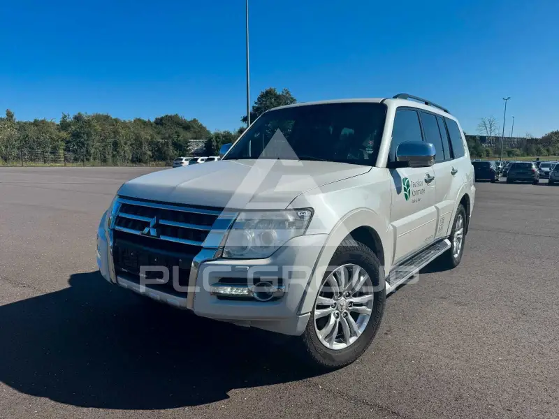 2014 Mitsubishi PAJARO