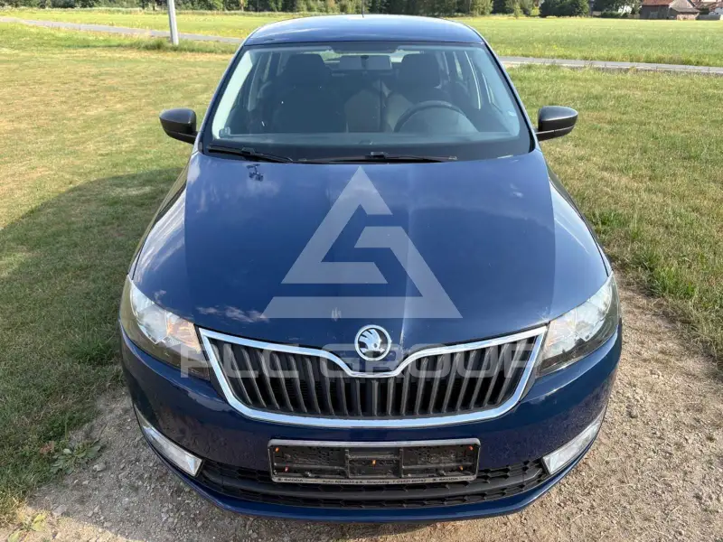 2014 Skoda Rapid