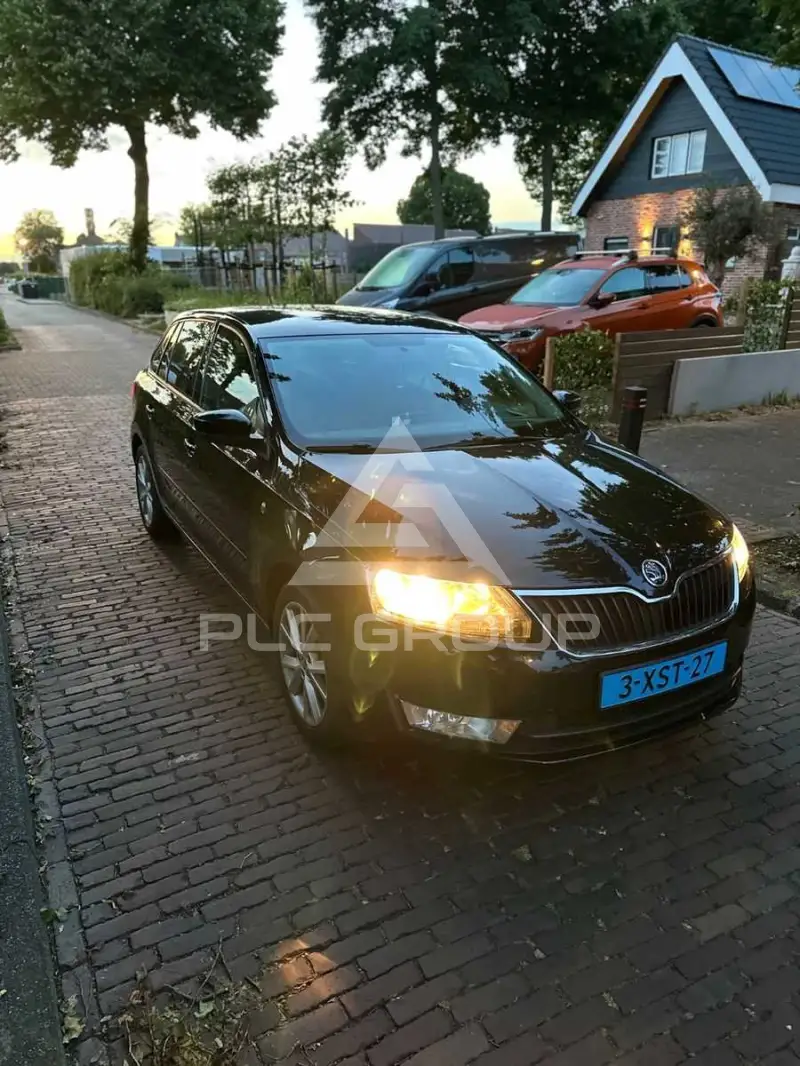 2014 Skoda Rapid