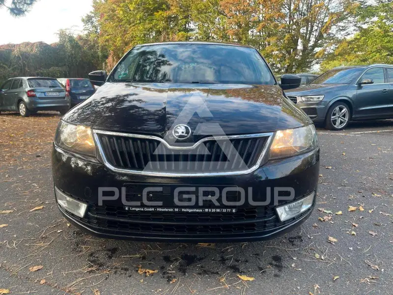 2014 Skoda Rapid