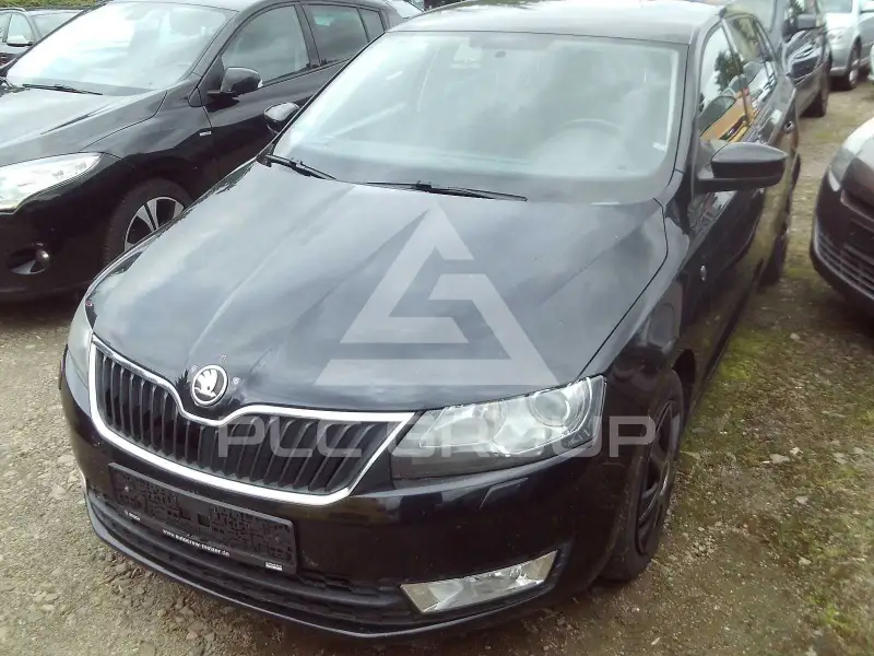 2014 Skoda Rapid