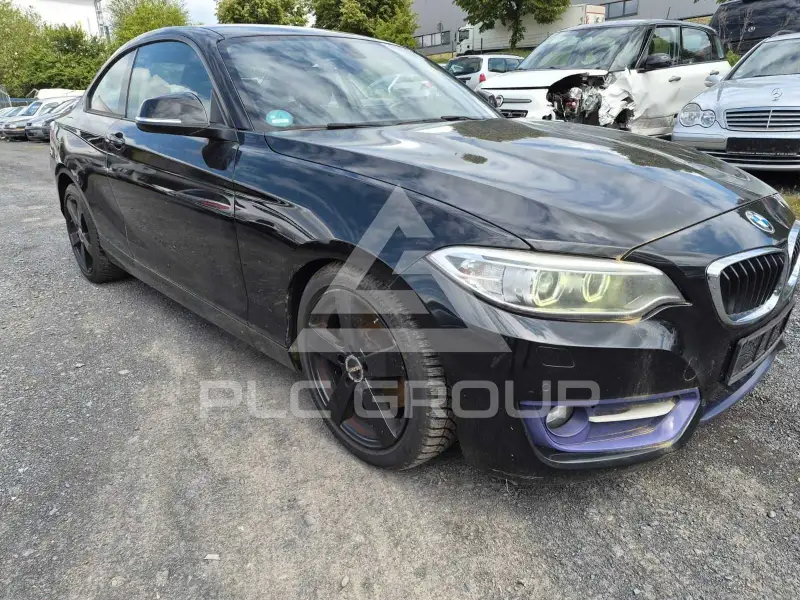 2014 BMW 220
