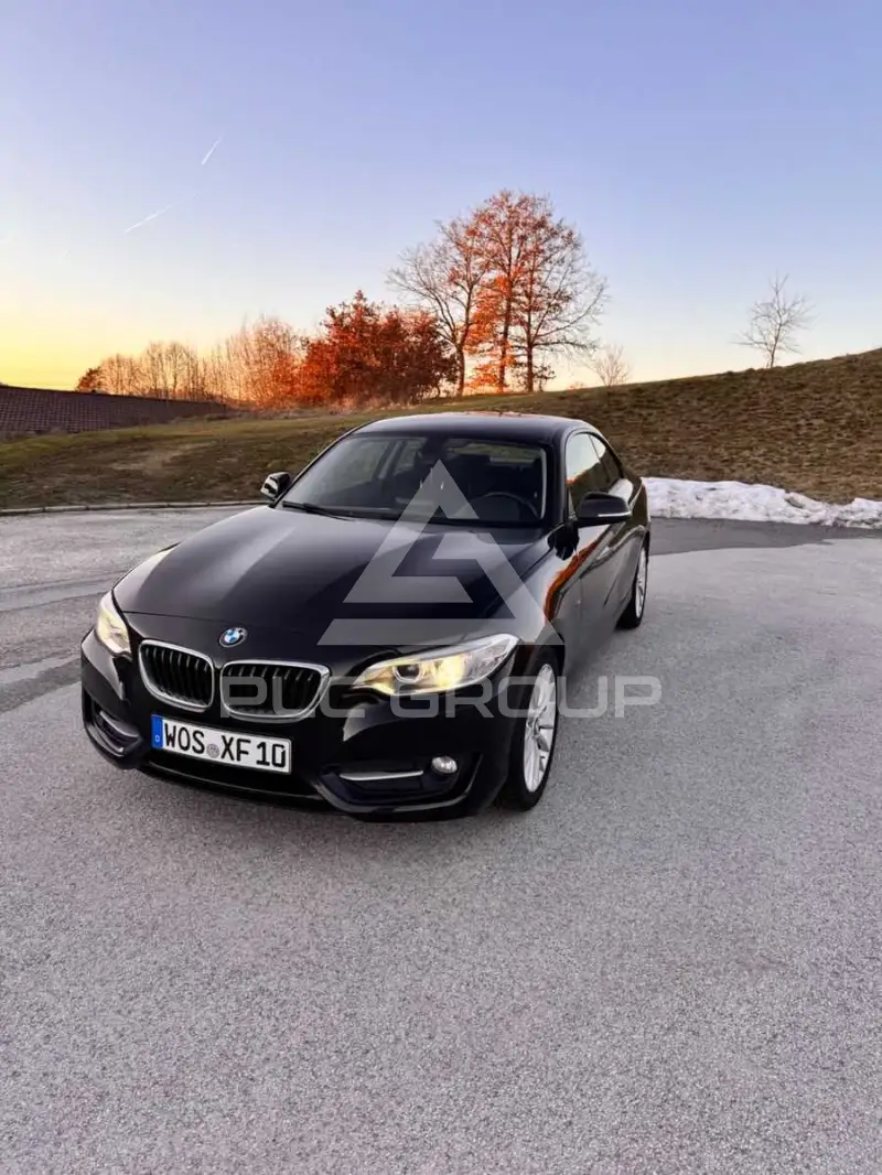 2014 BMW 220