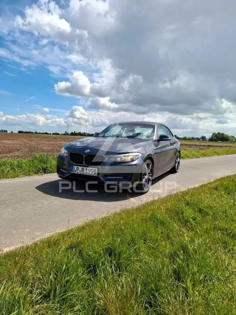 2014 BMW 220