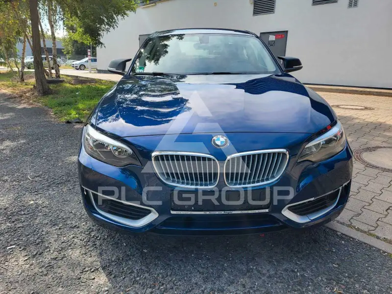 2014 BMW 220