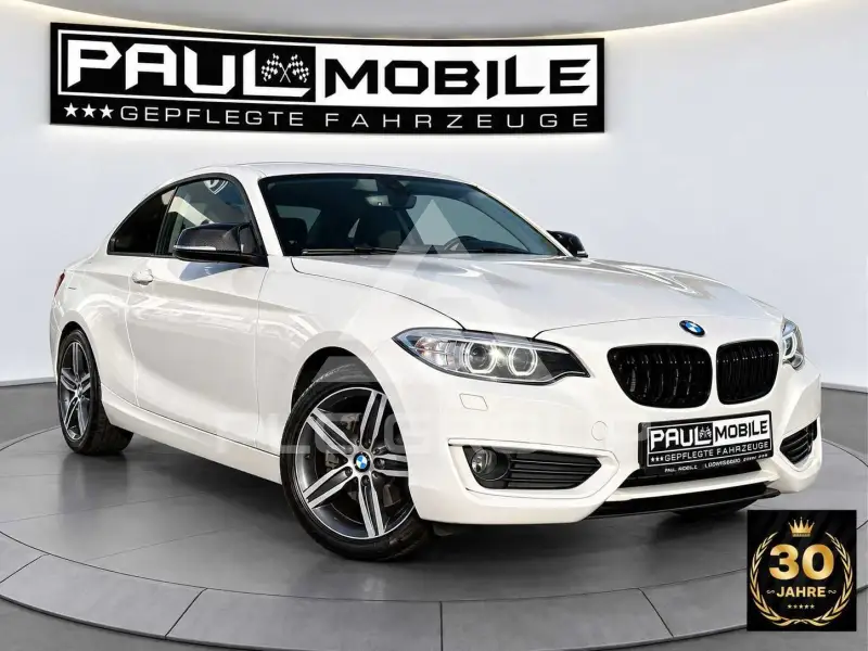 2014 BMW 220