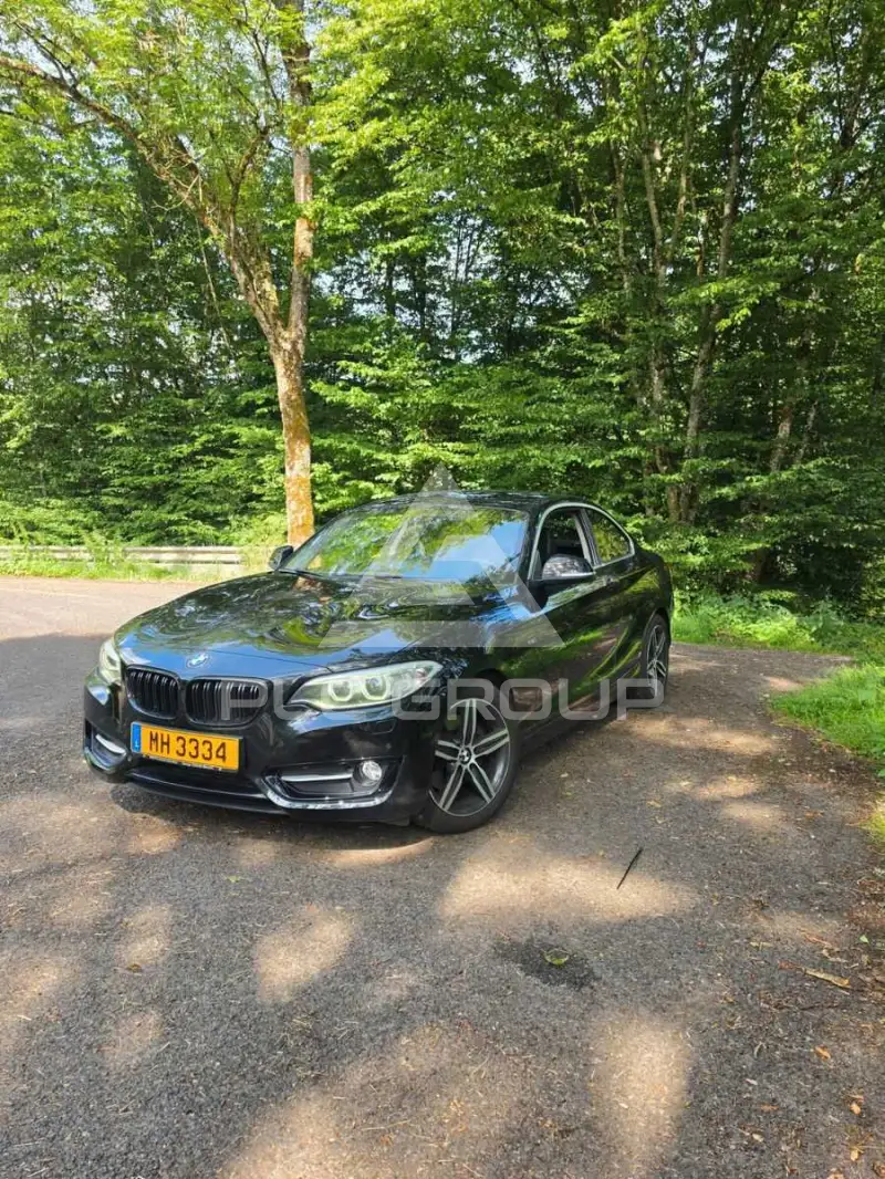 2014 BMW 220