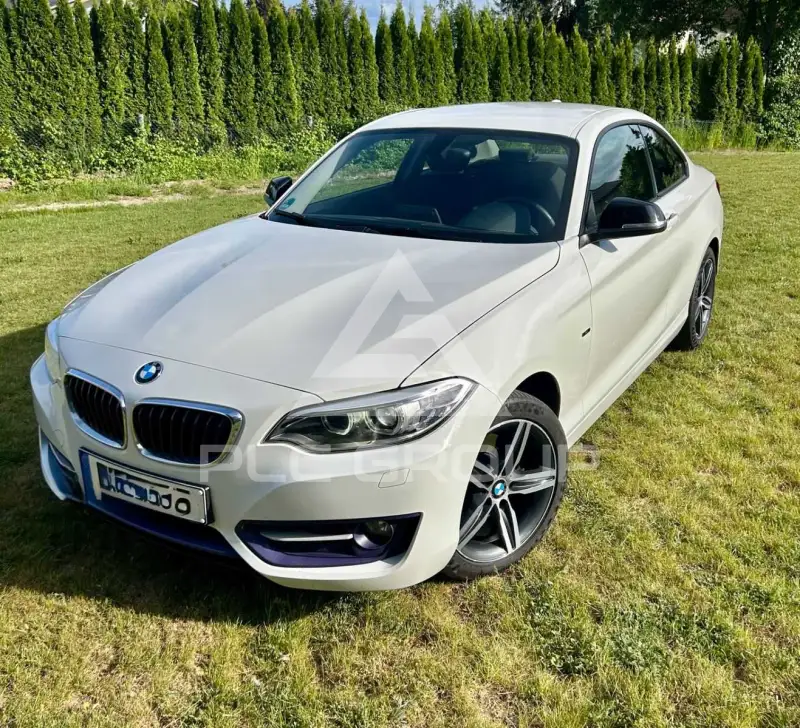 2014 BMW 220