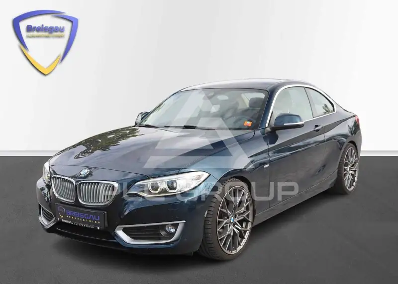 2014 BMW 225