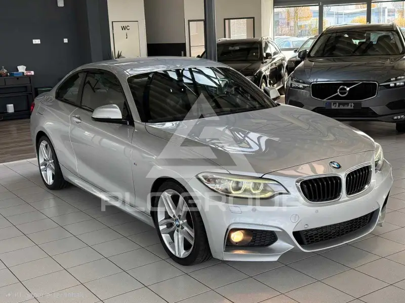 2014 BMW 225