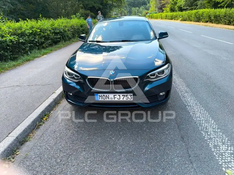 2014 BMW 220