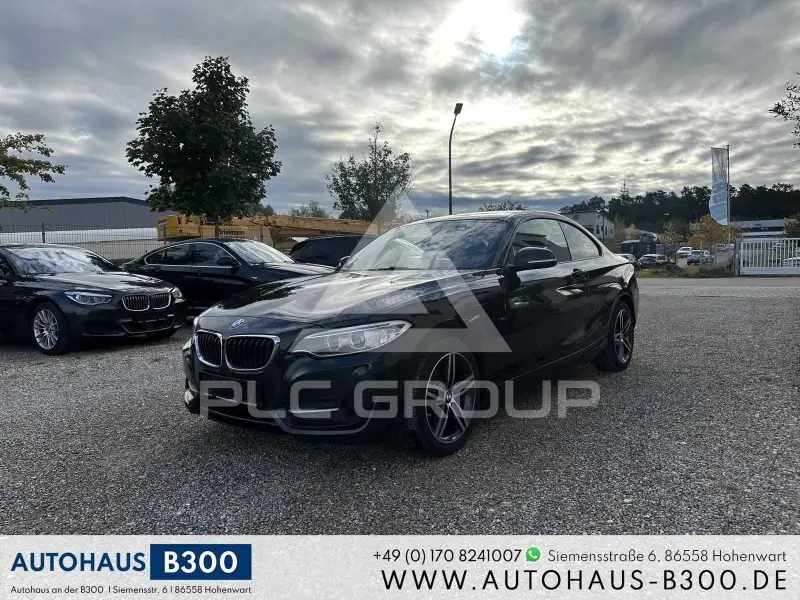 2014 BMW 218