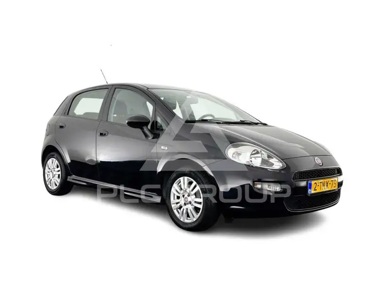 2014 Fiat Punto
