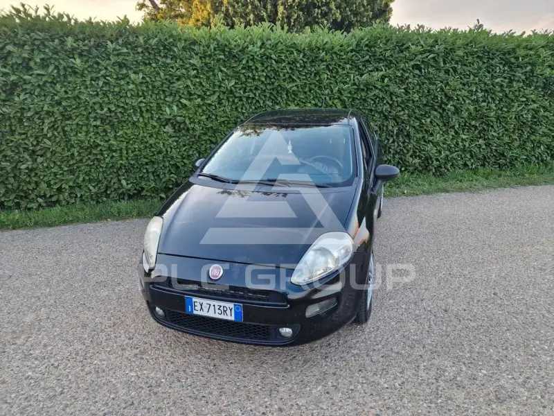 2014 Fiat Punto