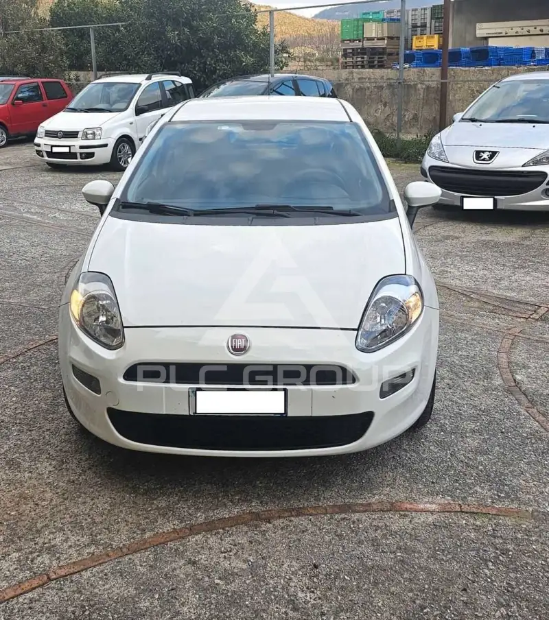 2014 Fiat Punto