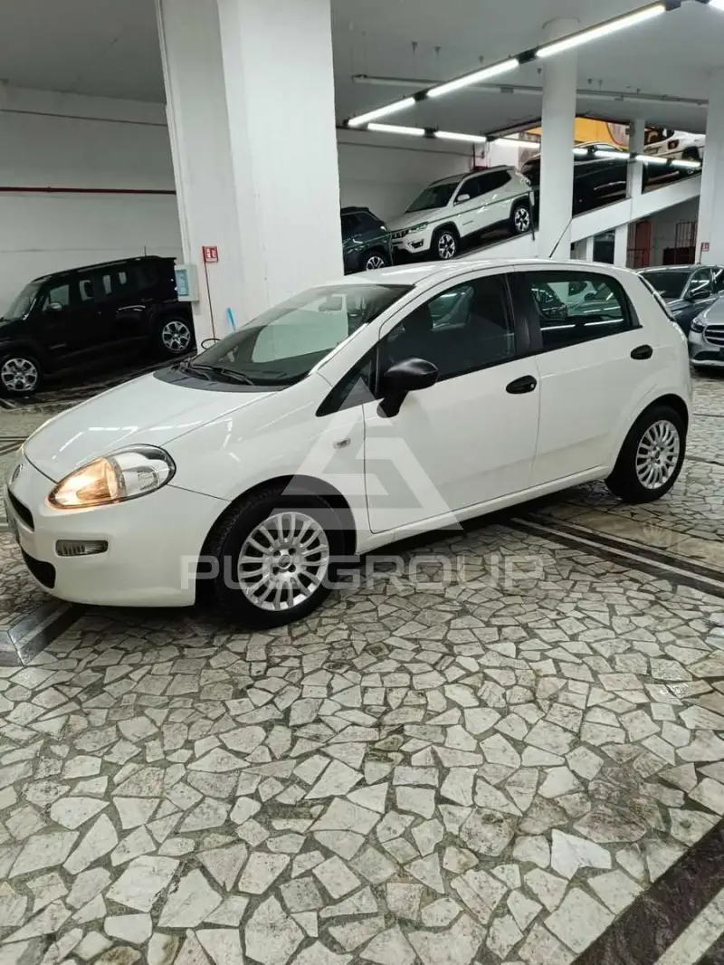 2014 Fiat Punto