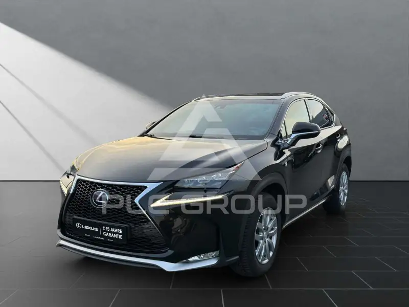 2014 Lexus NX300