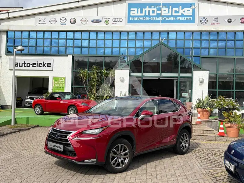 2014 Lexus NX300