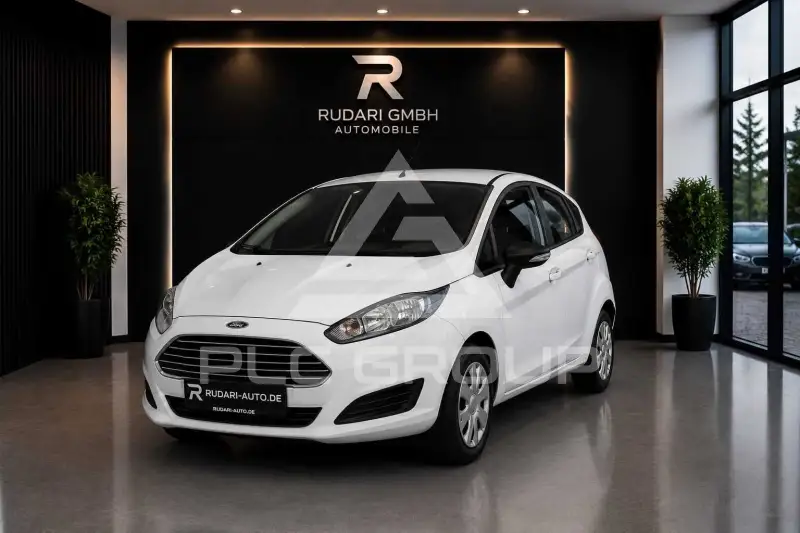 2014 Ford FIESTA