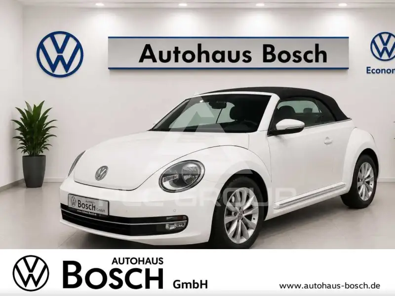 2014 Volkswagen BEETLE