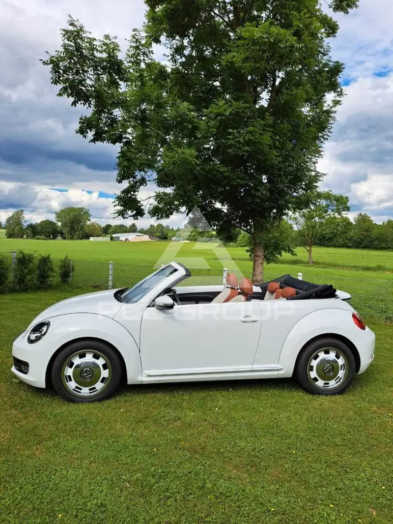2014 Volkswagen BEETLE