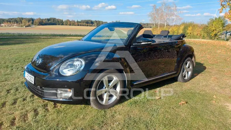 2014 Volkswagen BEETLE