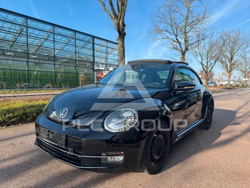 2014 Volkswagen BEETLE