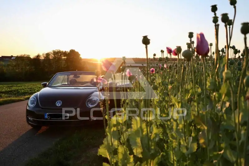 2014 Volkswagen BEETLE
