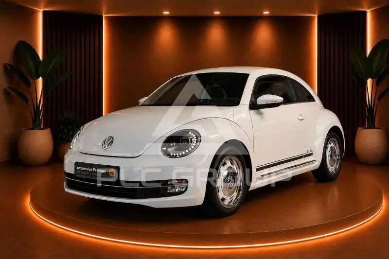 2014 Volkswagen BEETLE