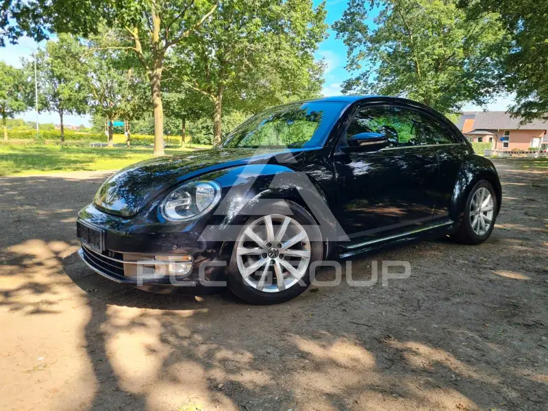 2014 Volkswagen BEETLE