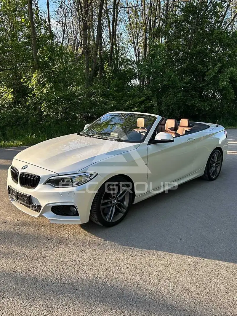 2015 BMW 220