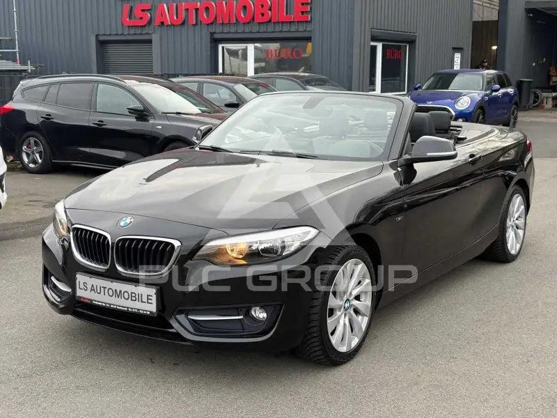 2015 BMW 220