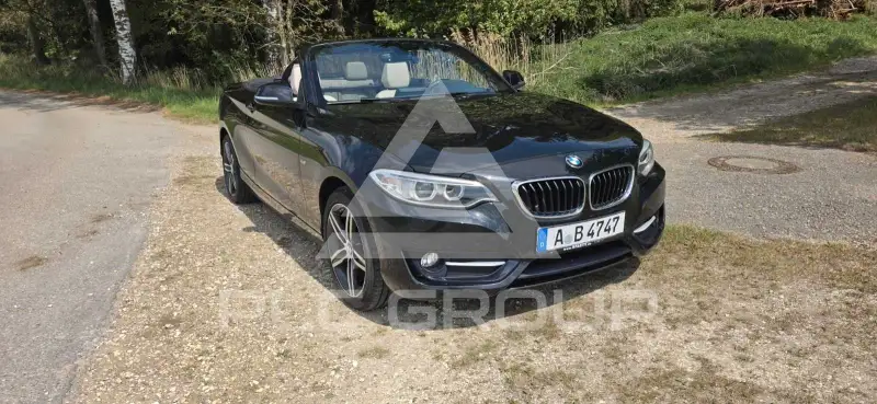 2015 BMW 220