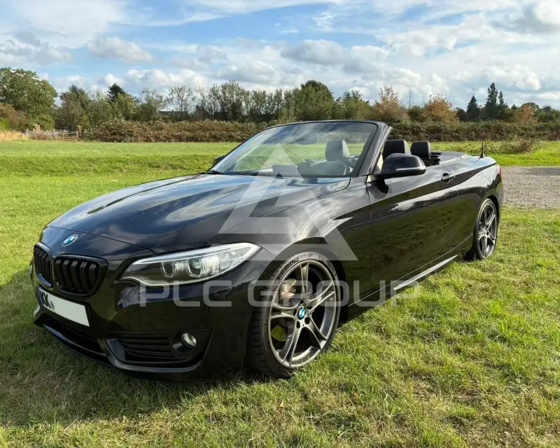 2015 BMW 220