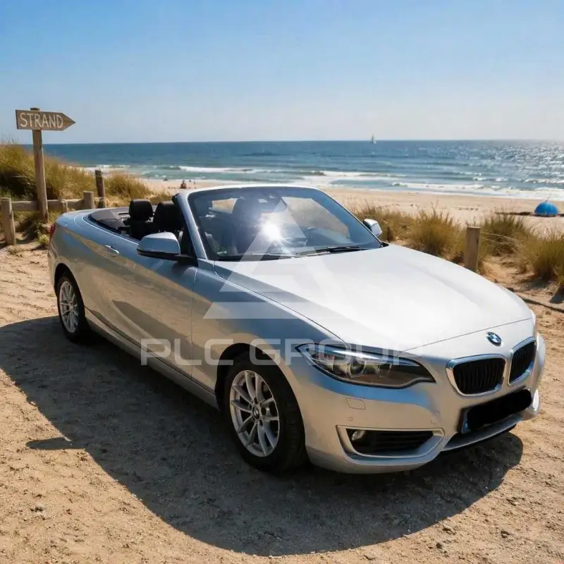 2015 BMW 220