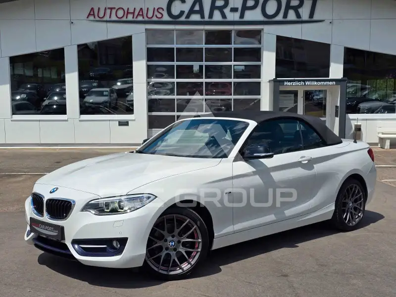 2015 BMW 220