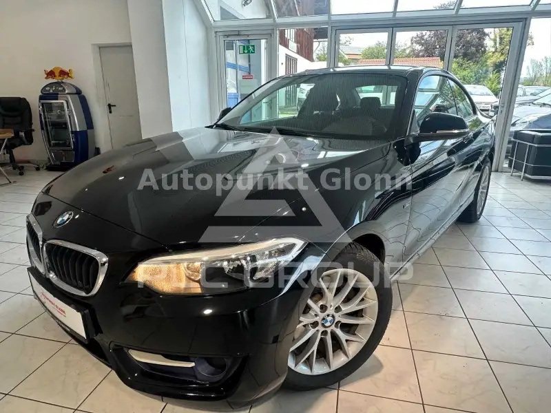 2015 BMW 220