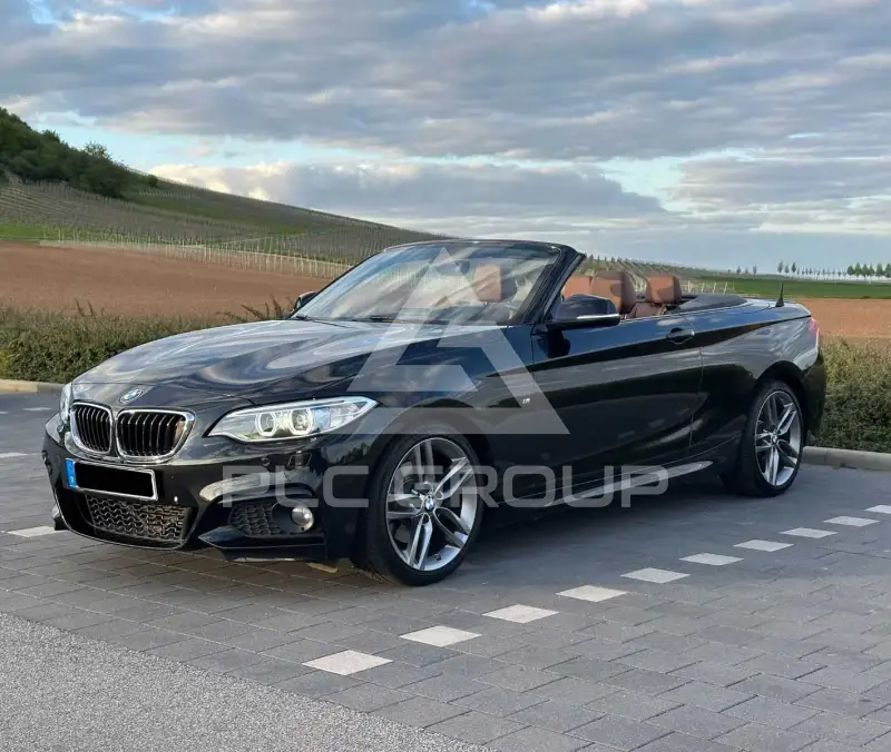 2015 BMW 220
