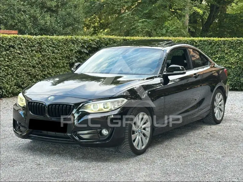 2015 BMW 220