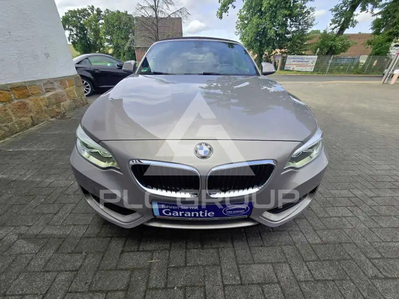 2015 BMW 220