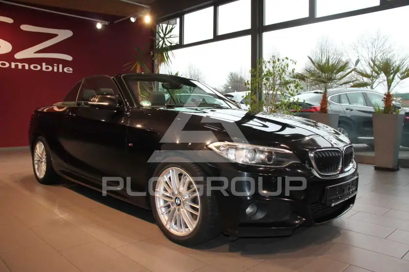 2015 BMW 220