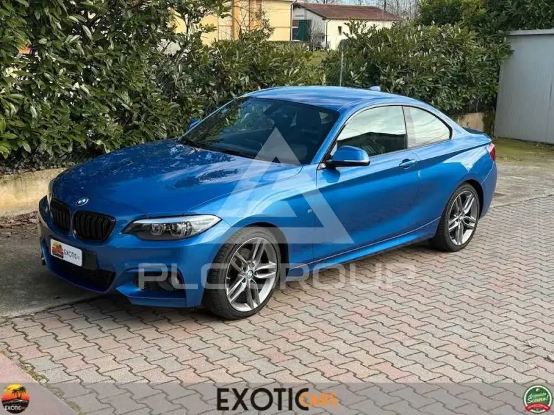 2015 BMW 220