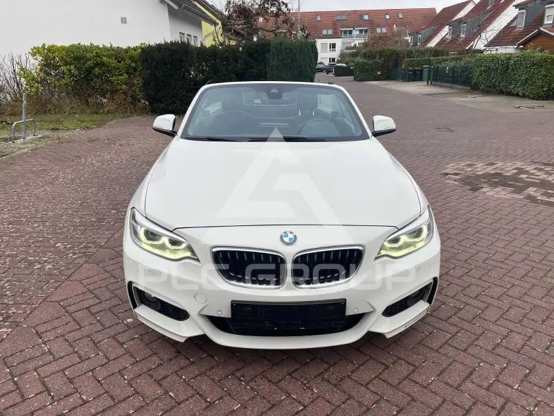2015 BMW 220