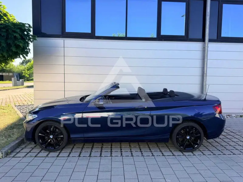 2015 BMW 220