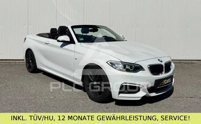 2015 BMW 220