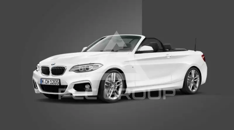 2015 BMW 220