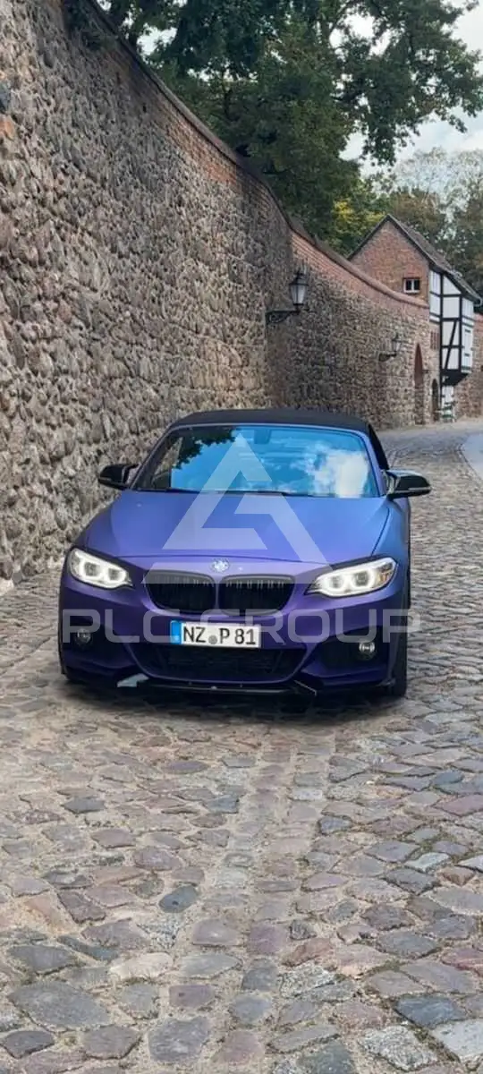 2015 BMW 220