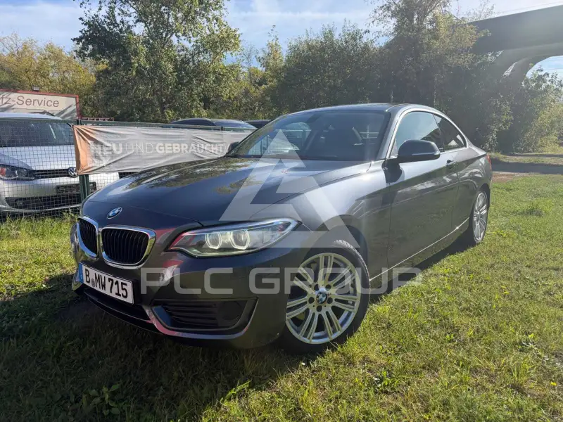 2015 BMW 220