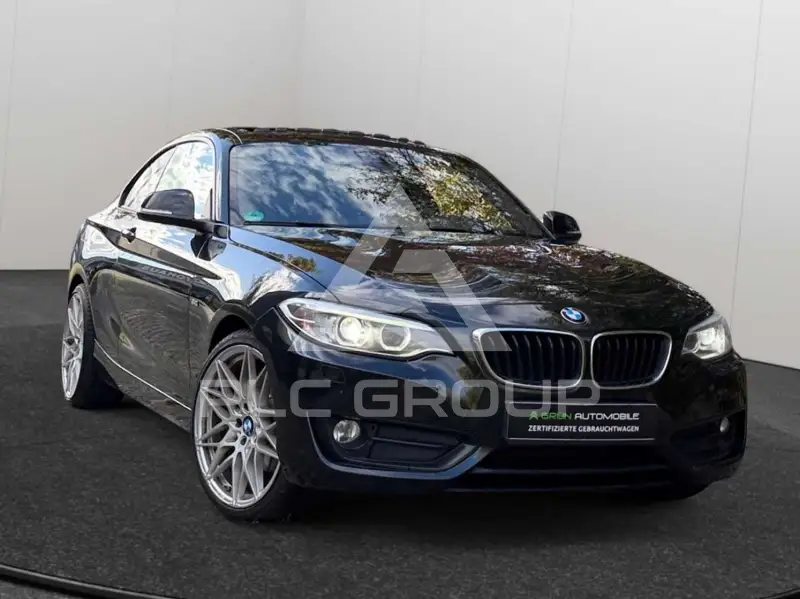 2015 BMW 220