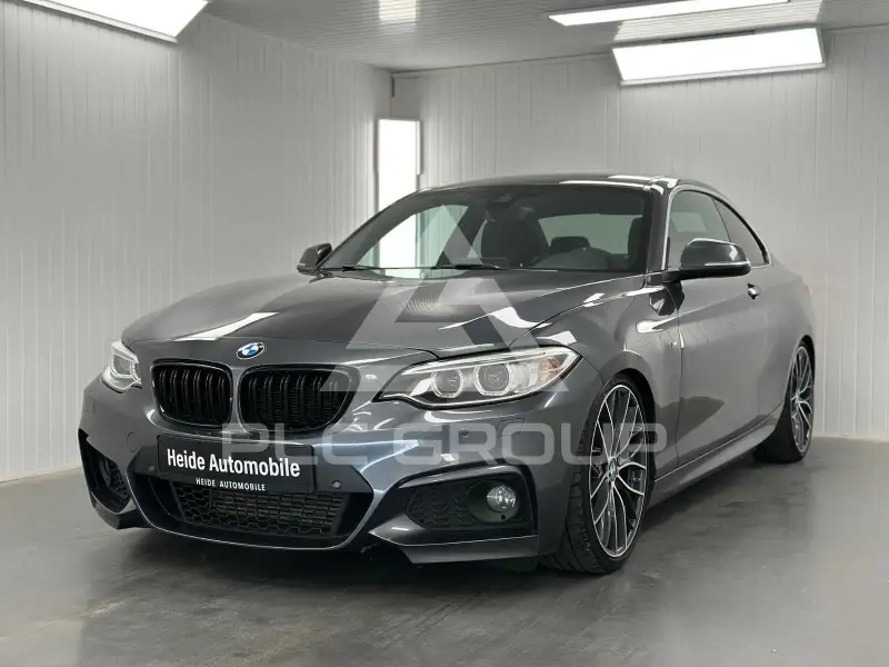 2015 BMW 225
